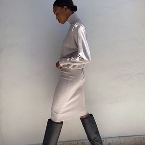 NWT Aritzia Babaton Bogart dress.